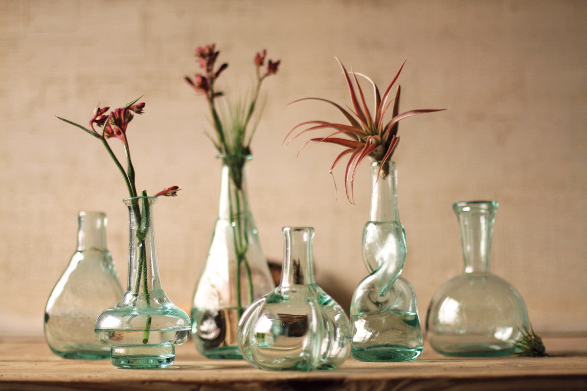 Set of 6 Bottle Bud Vases