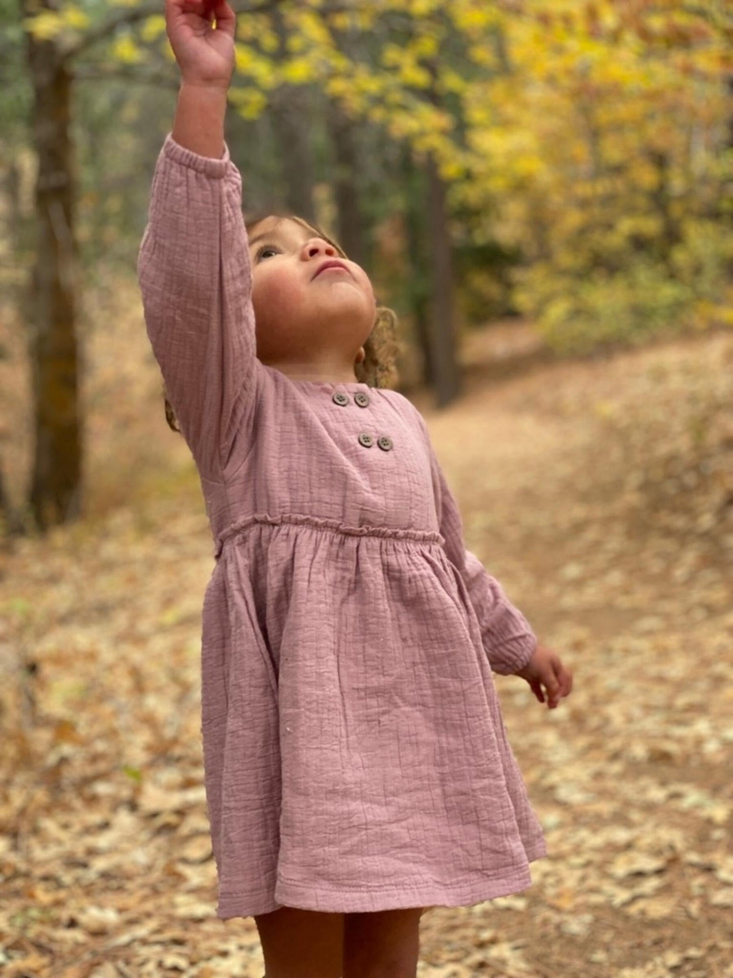 Ettie + H Mirren Dress | Rose Gauze