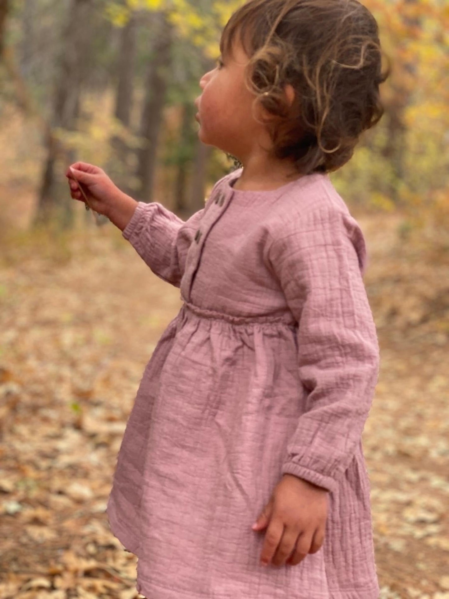 Ettie + H Mirren Dress | Rose Gauze