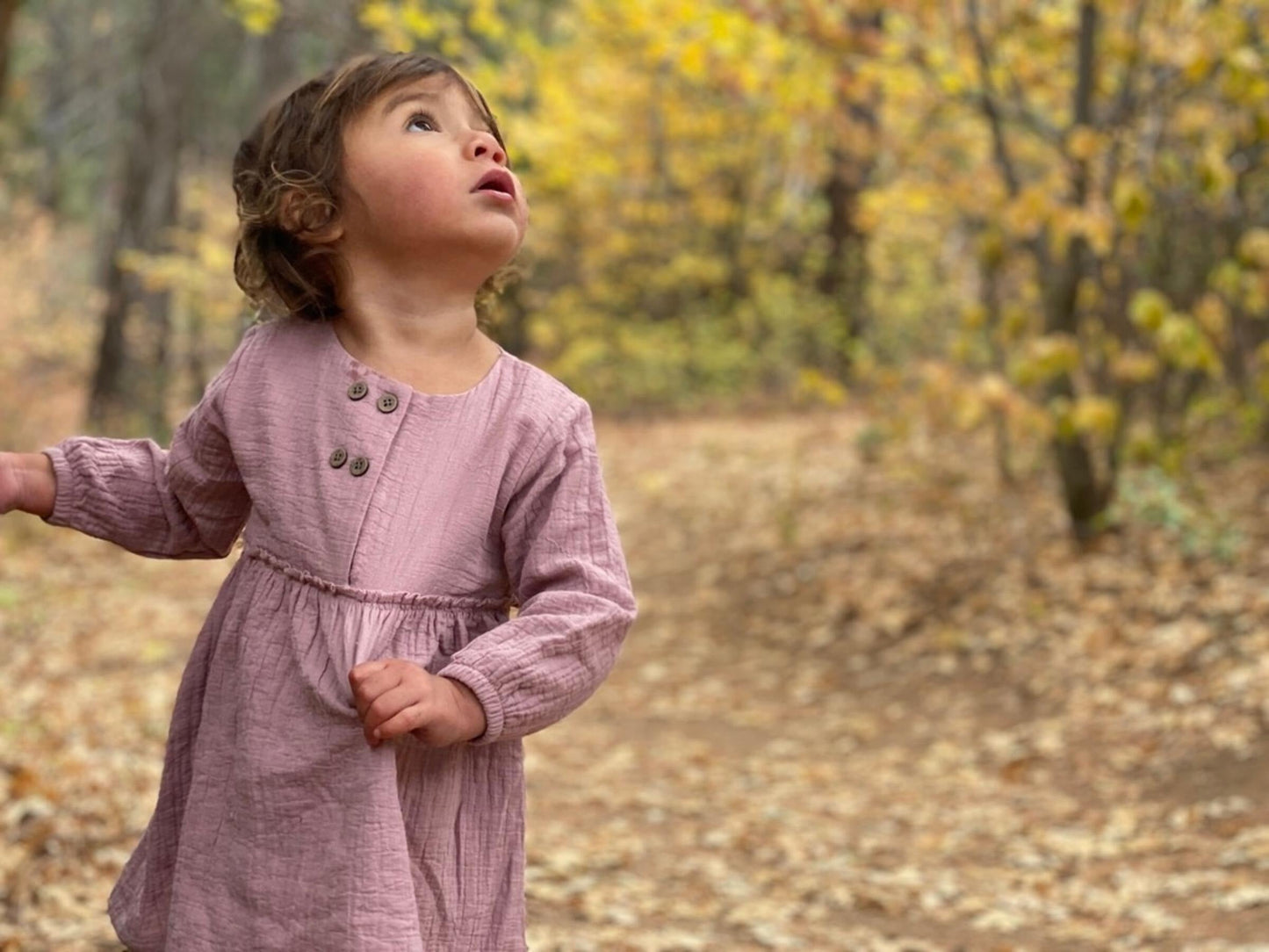 Ettie + H Mirren Dress | Rose Gauze