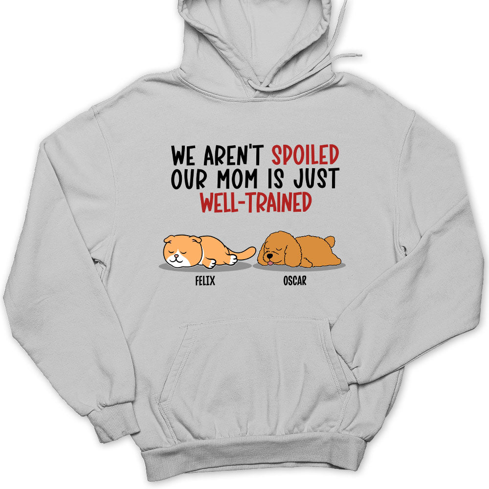 Spoiled Pet & Well Trained Dad - Personalized Custom Hoodie