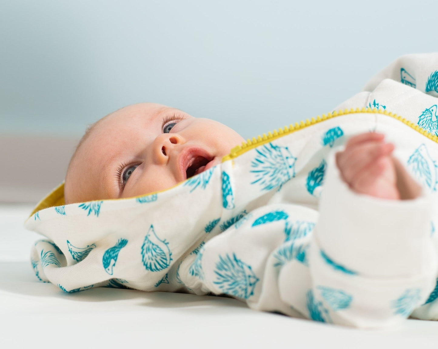 Baby Porcupine Hoodie
