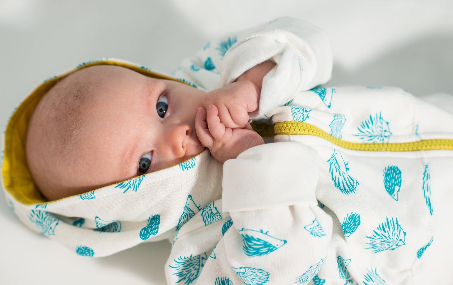 Baby Porcupine Hoodie