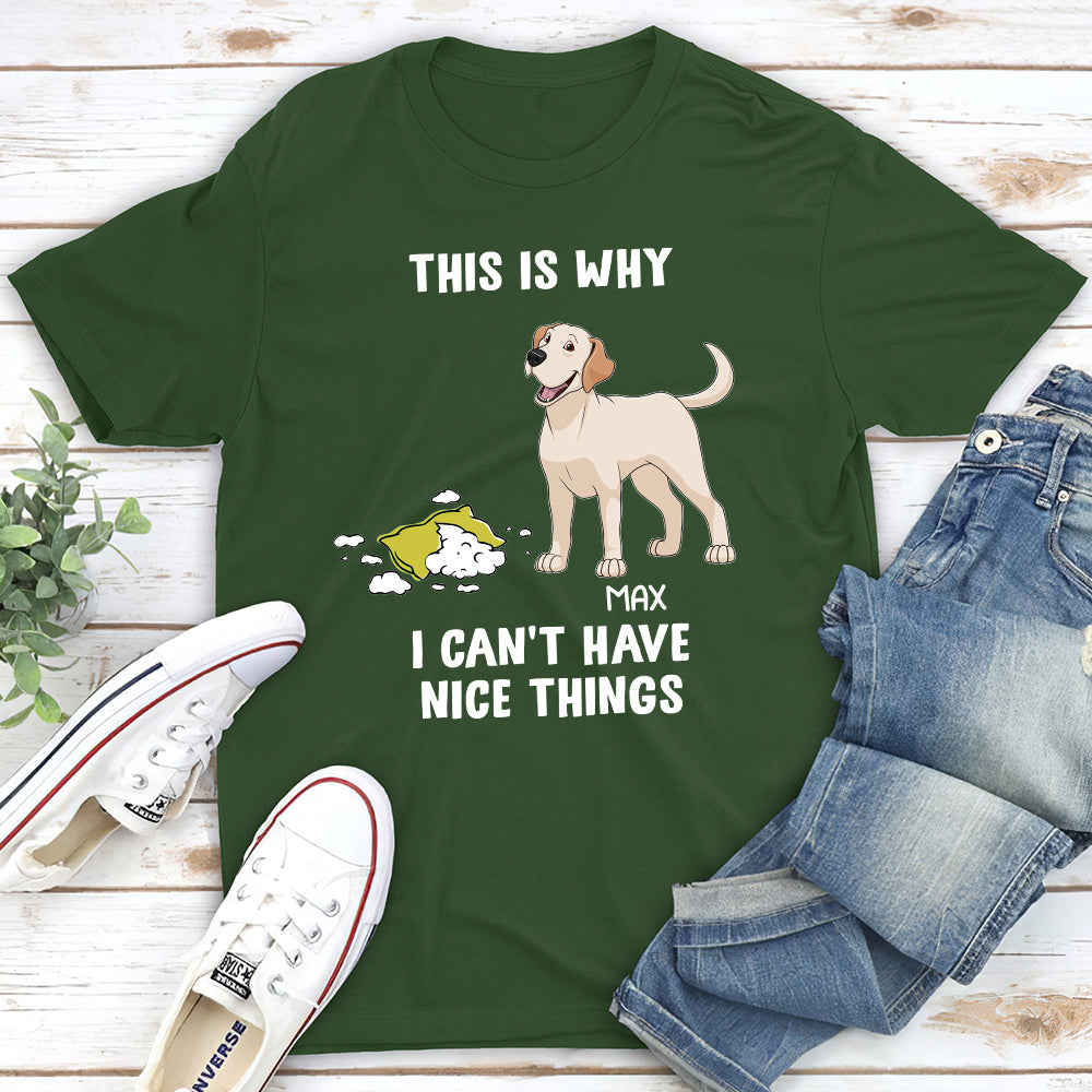 Have Nice Things - Personalized Custom Premium T-shirt