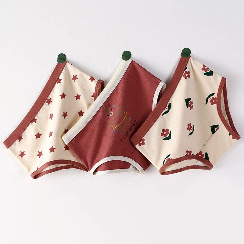 ST-Briefs / XL(17.5-22.5kg) Underwear