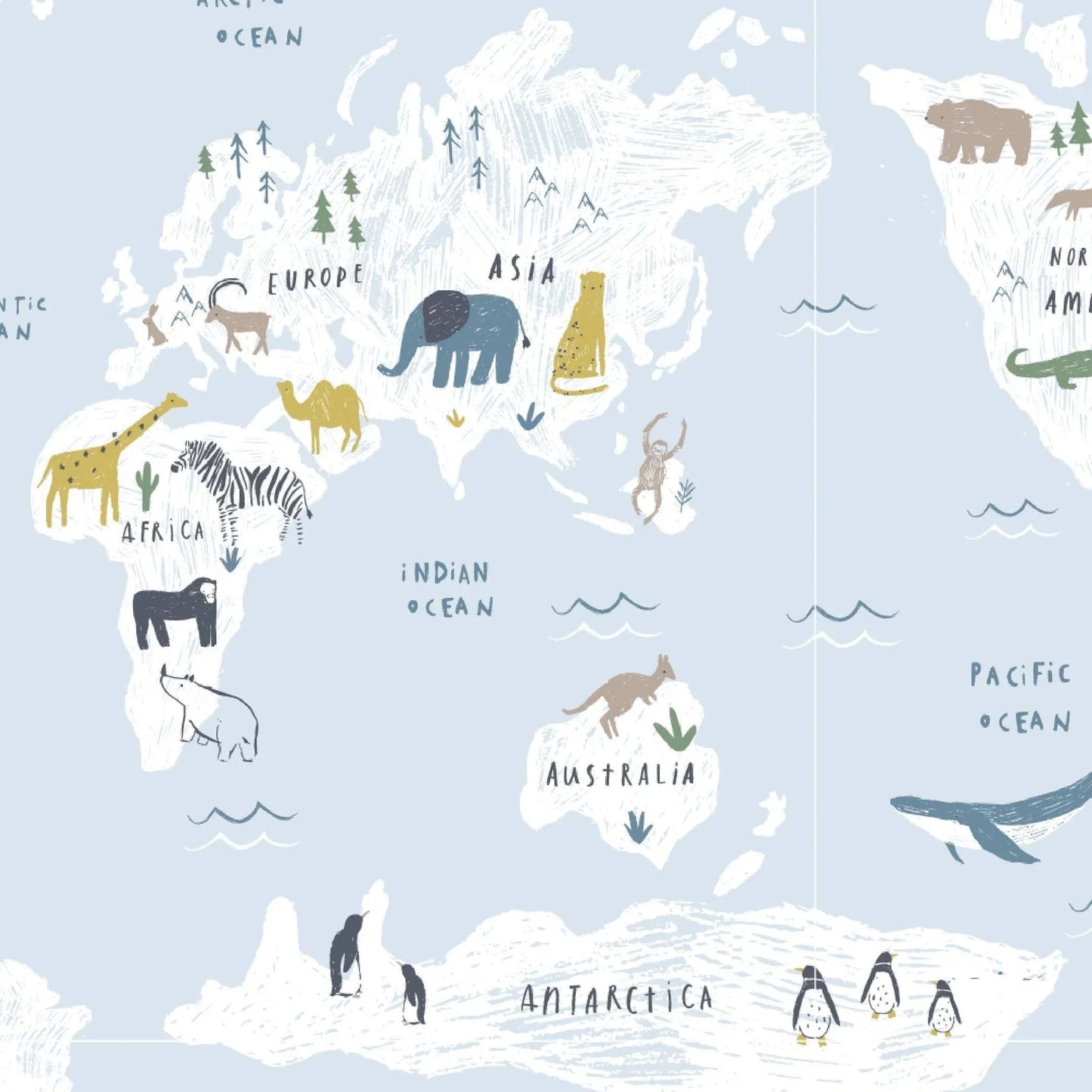 Sea The World Magnetic Footie